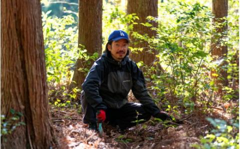 盆栽職人が作る苔玉(天台烏薬) / ギフト 徐福 伝説 自然 天然 新宮【mtt001】