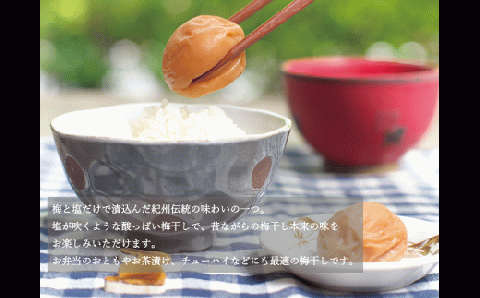 【贈答用】紀州南高梅 食べ比べセット 500g×2　（はちみつ・白干） / 梅干 梅干し 梅 南高梅 人気 大粒【inm900-6B】