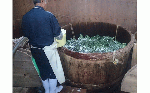 【新宮名物】めはり漬セット【めはり寿司】【kbs015A】