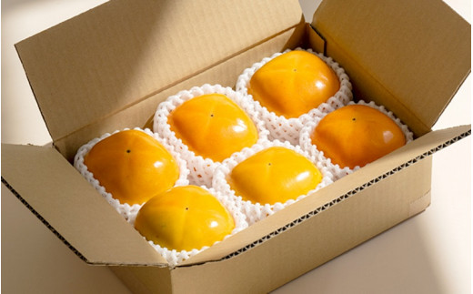 【先行予約】種無し柿 刀根早生柿 秀品大玉 約1.8kg（6個） 2026年9月末頃～10月末頃に順次発送予定（お届け日指定不可）/ 柿 かき 種無し 秀品 大玉 フルーツ 果物 くだもの【kiy002A】
