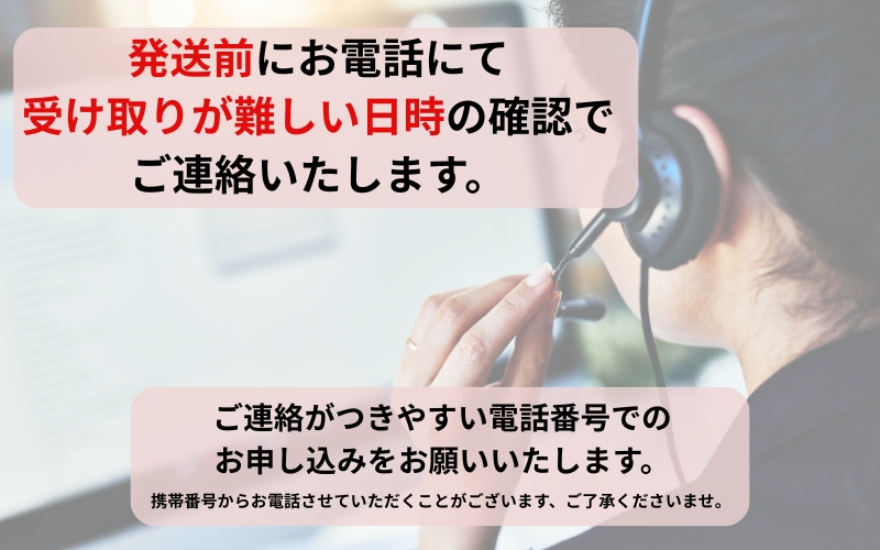 ＼朝どれ新鮮／ 鮮魚セット (小) 約3kg  目利きのプロが厳選した旬の魚をその日の内に発送！ 魚 鮮魚 タイ 鯛 海鮮【nss404】