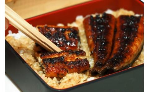 【全6回定期便】極上！国産うなぎ蒲焼 1尾×6回 計6尾 約1200g 創業100年以上続く老舗 紀州備長炭でじっくり焼き上げた専門店の味 （タレ・山椒付き）/ うなぎ ウナギ 鰻 蒲焼 国産 ふるさ【tkb316】