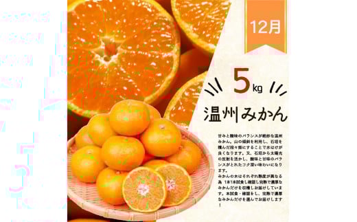 【全3回】紀州和歌山産旬のフルーツ定期便 (桃・柿・みかん) 【tkb383】