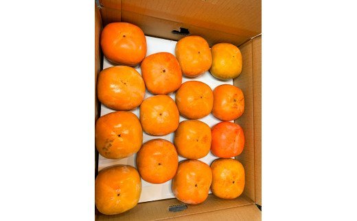 【2026年発送分予約】和歌山秋の味覚　平核無柿（ひらたねなしがき）　約7.5kg	※2026年10月上旬頃〜11月上旬頃に順次発送（お届け日指定不可）【uot700A】