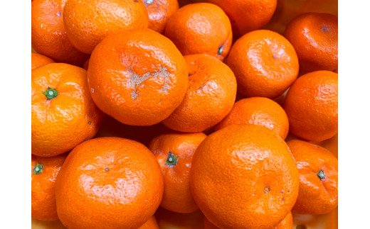 【ご家庭用訳アリ】初夏のみかん なつみ7.5kg　※2025年4月中旬～2025年4月下旬頃に順次発送予定(お届け日指定不可)【uot733A】