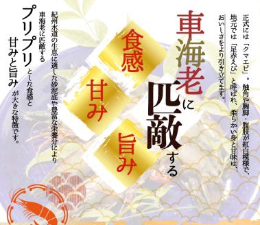 紀州和歌山産天然足赤えび540g×2箱（270g×4パック）化粧箱入 ※2025年11月末頃～2026年1月下旬頃順次発送予定（お届け日指定不可）／海老 エビ えび クマエビ天然【uot773A】