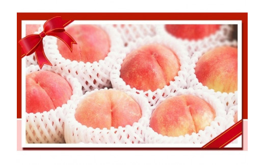 紀州和歌山産の桃　１５玉　化粧箱入 ※2026年6月下旬頃〜2026年8月上旬頃順次発送（お届け日指定不可）【uot780A】