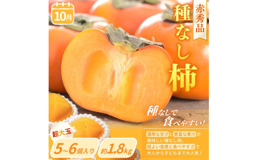 【定期便4回】フルーツ王国かつらぎ町よりお届け！旬のフルーツ定期便【kgr025】