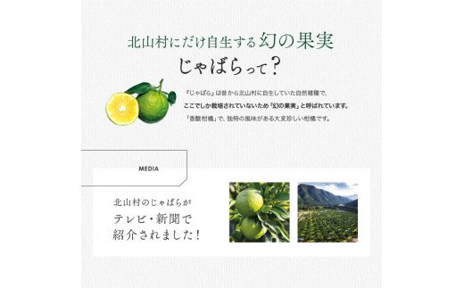 じゃばらスタッフおすすめセット じゃばら ジャバラ はちみつ ぽん酢 マーマレード【njb408】