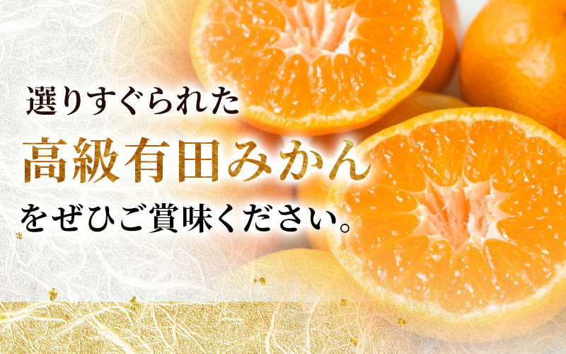極 有田みかんプレミアム 約5kg【光センサー 高糖度選別品】2S～Lサイズ【nuk155F】