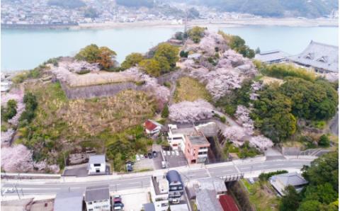 新宮市 ガイドと歩く歴史探訪ツアー 選べる史跡・神社2カ所巡り / 熊野 世界遺産 天然記念物 自然 神社【skk006】