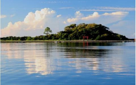 新宮市 ガイドと歩く歴史探訪ツアー　選べる新宮の魅力巡り / 熊野 世界遺産 天然記念物 自然 神社【skk008】