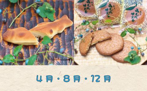 定期便 【新宮市】スイーツセット　4回 定期便 ケーキ マイヤーレモン レモン 焼菓子 和菓子 サブレ まんじゅう 饅頭 ミルク みかん ご当地【tkb137】