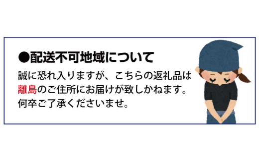 【毎月定期便】魚鶴お楽しみ海鮮4種セット(銀鮭切身・うなぎ蒲焼・銀だら切身・塩さばフィレ)全4回    / 銀鱈 さけ サバ だし うなぎ たら 魚 切り身 切身 魚 海鮮 焼き魚 ご飯のおとも おかず【tkb419】