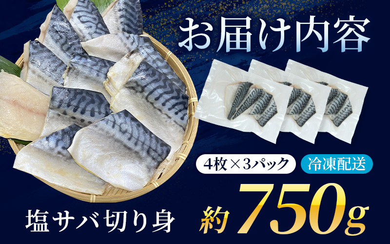 骨無し 無添加 塩さば 約750g（250g×3パック 12枚） / さば 塩さば 冷凍 おかず 魚 お魚 魚介 海鮮 安心 人気 大容量 小分け ごはんのお供 ふっくら やわらか 美味しい 焼き魚 骨なし 【nss507A】