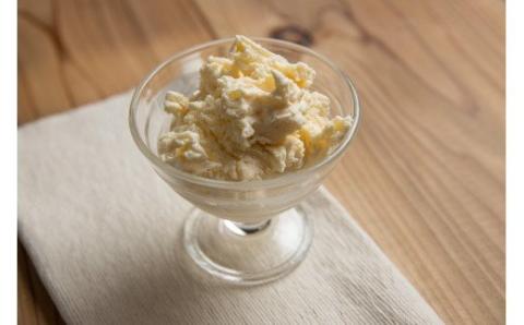 プレミアムジェラート／ピスタチオ 12個セット／ジェラート シャーベット アイスクリーム 100ml ／ゆあさジェラートラボラトリー 紀伊国屋文左衛門本舗 アイス ピスタチオ ジェラート【sgtb700-11】