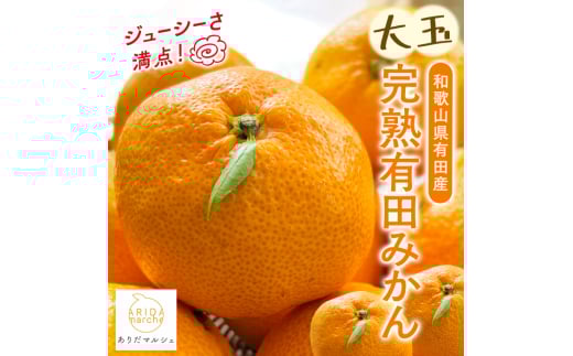 【果汁たっぷり】迫力満点！ 大粒 有田みかん 2.9kg+200g【2025年11月中旬～12月下旬順次発送予定】【ard054C】