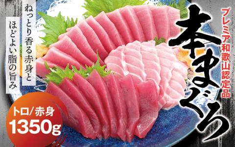 本マグロ（養殖）トロ＆赤身セット 1,350g 【6月発送】【配達日指定不可】高級 クロマグロ  中トロ 中とろ まぐろ マグロ 鮪 刺身 赤身 柵 じゃばらまぐろ 本マグロ 本鮪【nks111B-6】