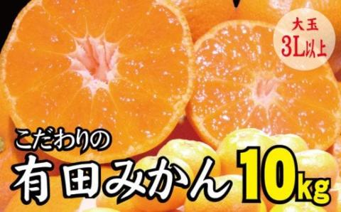 【農家直送】有田みかん 約10kg  大玉3L以上 有機質肥料100% ※2025年12月初旬～12月末に順次発送(お届け日指定不可)【nuk139F】