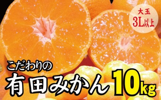 【農家直送】有田みかん 約10kg  大玉3L以上 有機質肥料100% ※2026年11月～12月に順次発送予定(お届け日指定不可)【nuk139F】