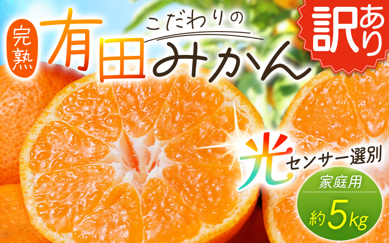 【訳あり】農家直送 有田みかん 約5kg ご家庭用 サイズ混合 ※2026年11月より順次発送予定（お届け日指定不可）※北海道・沖縄・離島への配送不可 訳ありみかん みかん ミカン 蜜柑 柑橘 フルーツ 果物 くだもの 温州みかんサイズ混合 訳ありみかん 温州みかん 有機質肥料100% ふるさと納税 柑橘 有田 産地直送【nuk161E】