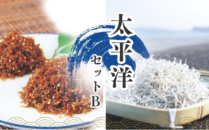 ちりめんのセット 太平洋セットB（上乾ちりめん250g+ちりめん佃煮200g）/ しらす シラス ちりめん 佃煮 上乾【ojs003A-2】