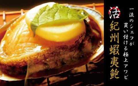 極上！紀州蝦夷鮑×19～20個　五つ星旅館にも出荷される極上アワビ＜日付指定OK＞ 鮑 アワビ あわび 極上 海鮮【riz120】