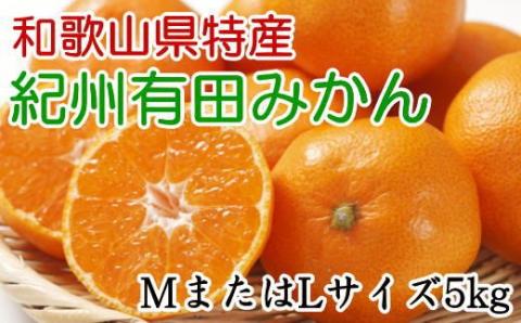 [秀品]和歌山有田みかん　5kg(MサイズまたはLサイズのいずれか) ※2025年11月中旬～1月中旬頃順次発送予定（お届け日指定不可）【tec834A】