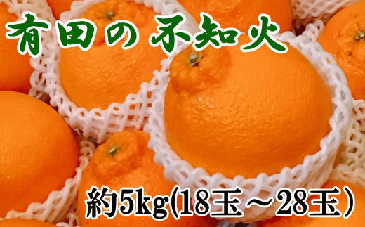 【濃厚】有田の不知火約5kg（18玉～28玉おまかせ） ※2026年2月中旬～2026年4月中旬頃に順次発送予定【tec860A】