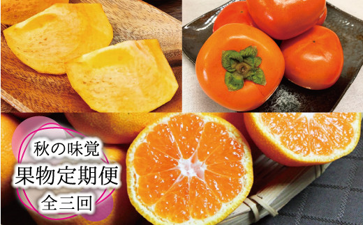 【3か月定期便】【全3回定期便】秋の味覚 果物定期便　柿・みかん　旬のフルーツを毎月お届け♪ 定期便 みかん 柿【tkb130】