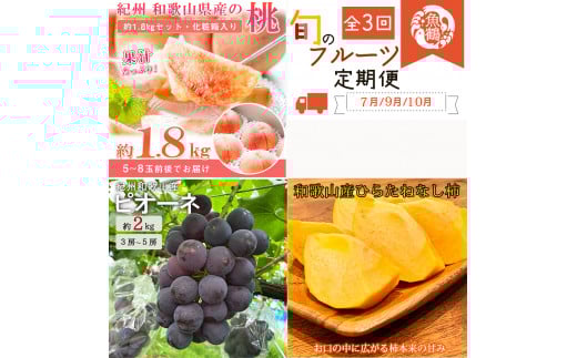 【全3回】紀州和歌山産旬のフルーツ定期便 (桃・ピオーネ・ひらたねなし柿)【tkb371】