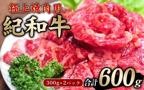 極上紀和牛タレ仕込味付焼肉 300g×2パック 合計600g【冷凍】  肉 牛肉 牛 小分け 味 焼き肉 焼肉【tnk205】