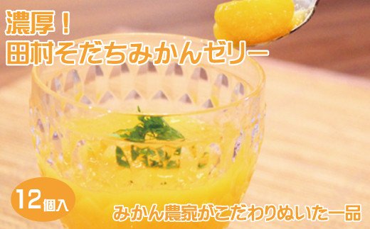 濃厚！田村そだちみかんゼリー みかん ゼリー ミカン 蜜柑【uot100】