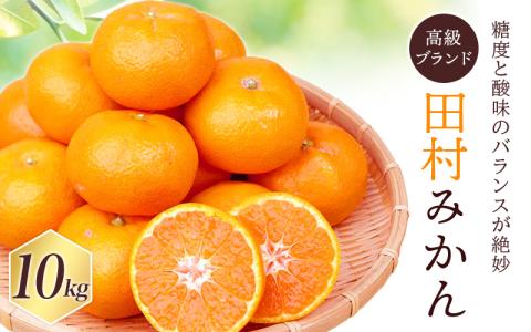 高級ブランド田村みかん 10kg【予約】 ※2024年11月下旬頃?2025年1月下旬頃に順次発送予定(お届け日指定不可)【uot505A】