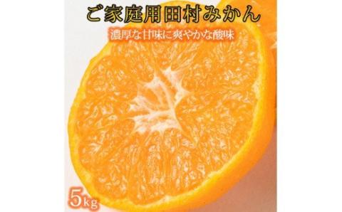 【ご家庭用訳あり】田村みかん　5kg　※2024年11月下旬頃?2025年1月下旬頃に順次発送予定【uot754A】
