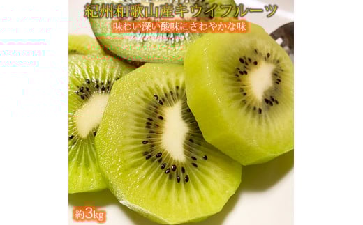 紀州かつらぎ山のキウイフルーツ約３ｋｇ ※※2027年1月下旬～2月上旬頃に順次発送予定(お届け日指定不可)【uot792】