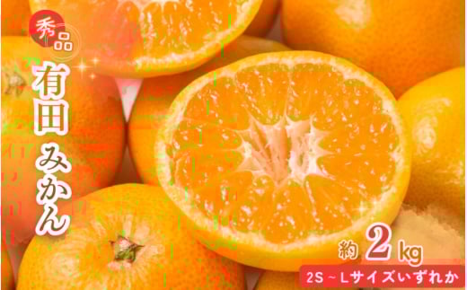 【先行予約】秀品 有田みかん 2kg 2S～Lサイズのいずれか ※2026年11月下旬～2027年1月下旬頃に順次発送予定 / みかん ミカン 蜜柑 温州みかん 柑橘 フルーツ 果物 くだもの 和歌山【uot835A】