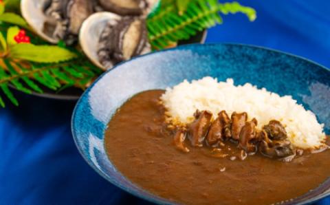 和歌山のアワビ屋さんがつくったあわびカレー [170g×3袋][日付指定OK] あわび 鮑 カレー 小分け[riz305]