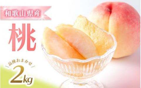 [先行予約]和歌山県産の美味しい桃 約2kg (6〜9玉入り)[2024年6月中旬頃〜8月中旬頃順次発送予定] 和歌山 もも モモ 桃 ギフト 贈り物 プレゼント 夏ギフト 果物 フルーツ 人気 産地[mat101A]