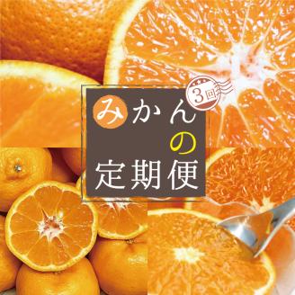 [3か月定期便]人気の柑橘を集めた!みかんの定期便 定期便 みかん[tkb111]