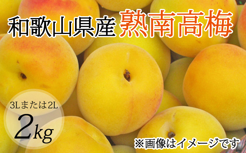 [梅干・梅酒用](3Lまたは2L-2Kg)熟南高梅[2025年6月上旬〜7月上旬ごろに順次発送予定] 梅 旬 梅酒[art008A]