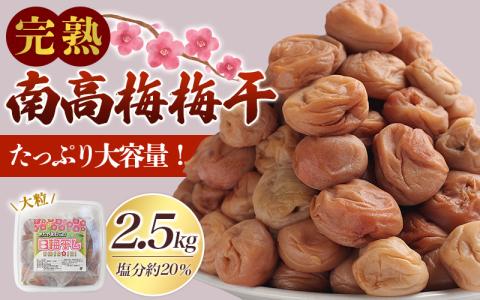 ＼たっぷり2.5kg/ [ 数量限定 ]紀州南高梅 昔ながらの 梅干し 1.25kg×2パック[ ご家庭用 ]/ 梅 うめ ウメ 梅干 完熟 無添加 大容量 和歌山県 北山村 昔ながら 家庭用 白梅[njb647]