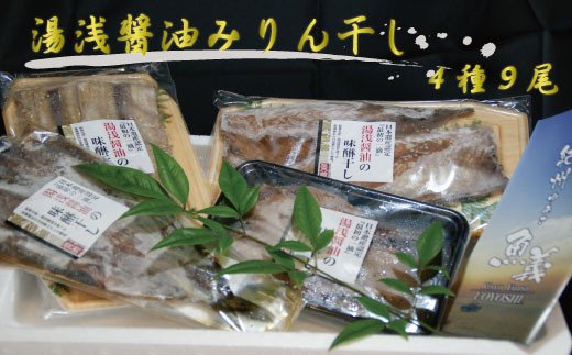 和歌山の近海でとれた新鮮魚の湯浅醤油みりん干し4品種9尾入りの詰め合わせ 干物 鯖 サバ アジ さんま 秋刀魚 サンマ[tec200A]