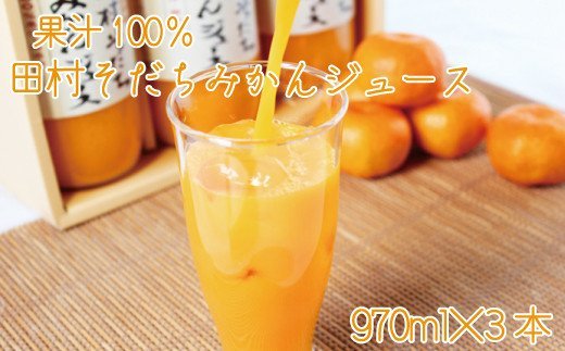 果汁100% 田村そだちみかんジュース 970ml×3本 みかん ミカン 蜜柑 ジュース フルーツ[uot203]