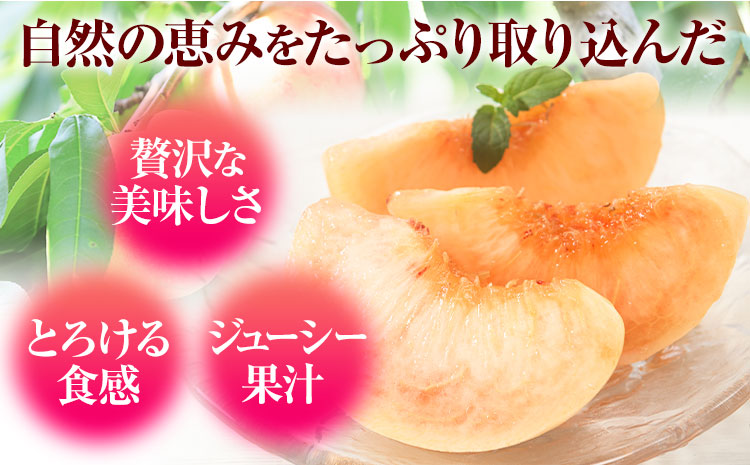 桃 もも【2026年先行予約】和歌山県産 紀の里の桃 約1kg (3-5玉入り)《6月中旬-8月中旬頃出荷》 桃 2026年 先行 桃 先行予約2026 もも2026 白鳳 日川白鳳 八旗白鳳 清水白桃 川中島白桃 つきあかり もも 白鳳 先行予約 もも川中島 もも2026 もも 白鳳 先行予約 もも 先行予約 もも 和歌山 もも---wfn_cwlocal70_6c8c_25_8000_1kg---