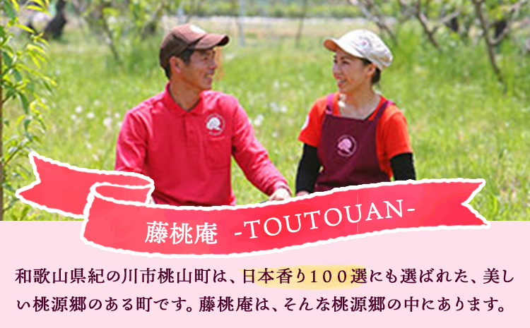 あらかわの桃ジャム3本セット株式会社藤桃庵《90日以内に出荷予定(土日祝除く)》---wsk_ttajam_90d_22_11000_3p---