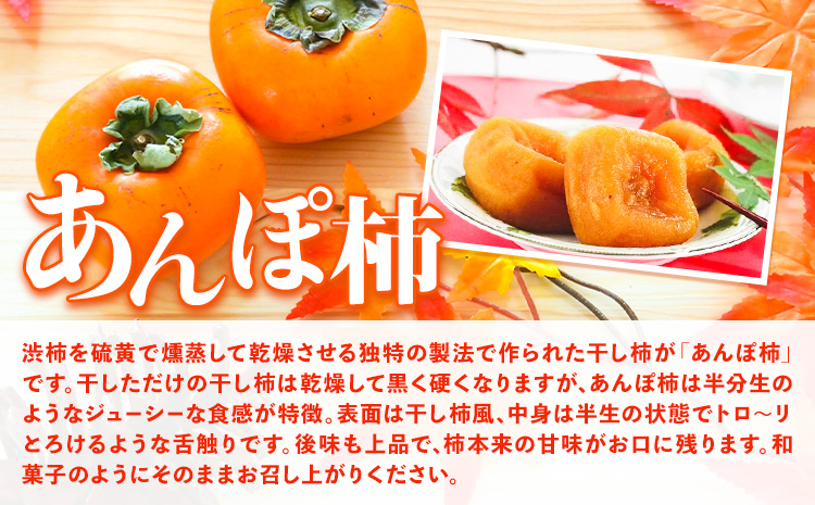 和歌山県産 あんぽ柿 70g×8個セット 紀の川市厳選館《90日以内に出荷予定(土日祝除く)》和歌山県 紀の川市 種なし柿 干し柿 ドライフルーツ カキ かき ジューシー フルーツ 和菓子---wsk_gsk44_30d_23_12000_8k---