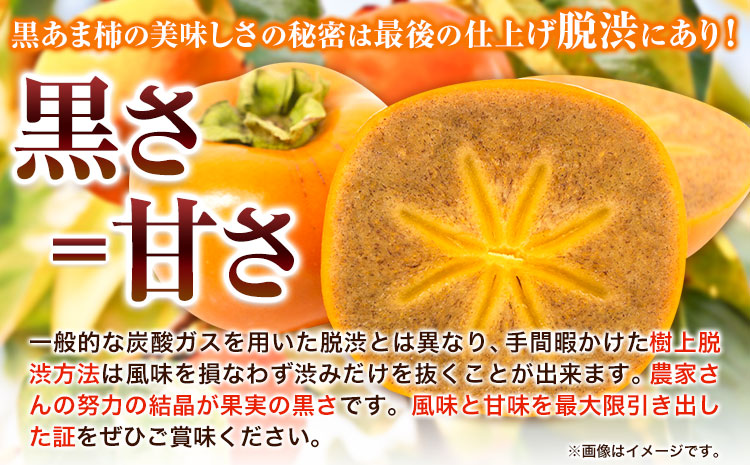 【先行予約】黒あま種なし約3.6kg（11～15玉前後）4L～2Lサイズ《2025年10月中旬-11月末頃出荷》---wfn_wlocal82_10c11m_25_15000_36---