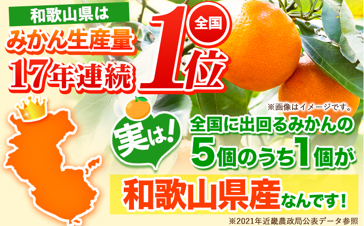 【訳あり/サイズ不選別】和歌山みかん約10kg和歌山県産《11月中旬から1月中旬に出荷予定(土日祝除く)》---wfn_wlocal90_11c1c_25_10000_10kg---｜たっぷりご家庭用みかん