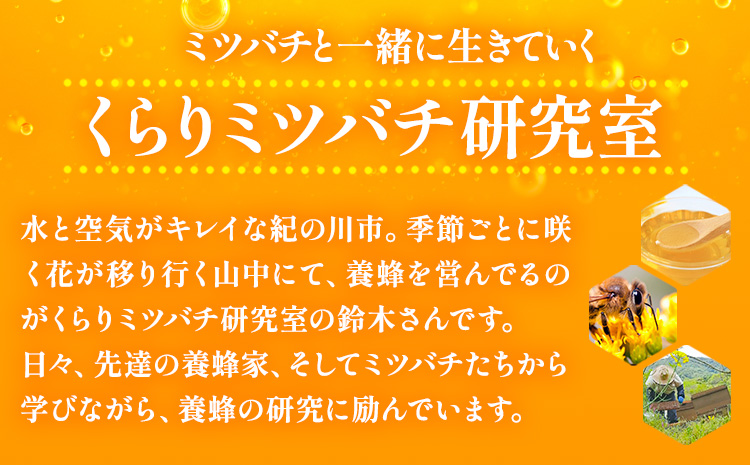 6月のはちみつ540gKURARIくらりミツバチ研究室《90日以内に出荷予定(土日祝除く)》蜂蜜ハチミツ非加熱純正生ヨーグルト---wsk_krr2_90d_24_11000_1d---